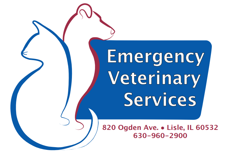 Emergency Vet Services