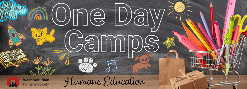 January One Day Camp