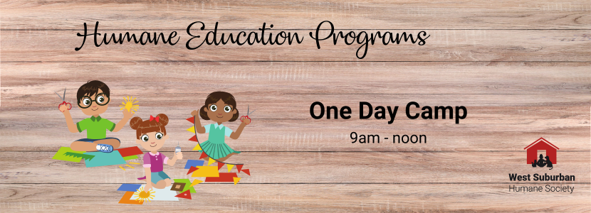 One Day Camps Website