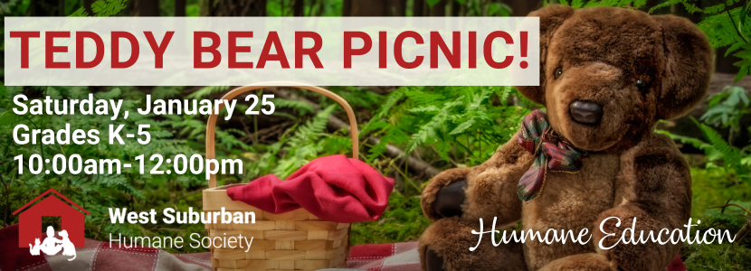 Teddy Bear Picnic 1