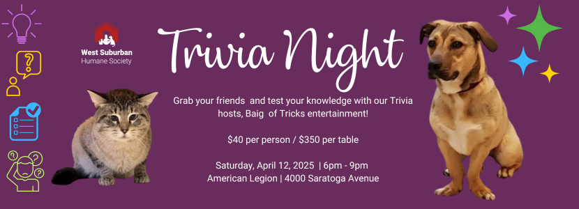 Trivia Night 2025