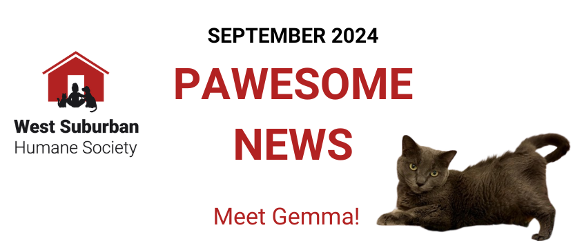 Pawesome News - September 2024 